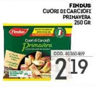 Eurocash Findus Cuori di Carciofi Primavera 250 gr offerta