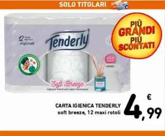 Spazio Conad Tenderly Carta Igienica 12 maxi rotoli offerta