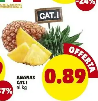 PENNY Penny Market Ananas offerta