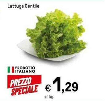 Iper La Grande Lattuga Gentile offerta