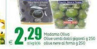 Elite Madama oliva Olive offerta