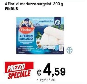 Iper La Grande Findus 4 Fiori di merluzzo surgelati 300 g offerta