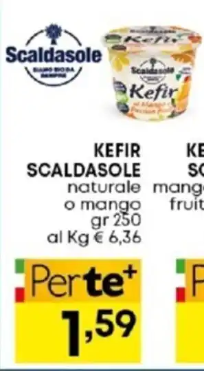 Scaldasole Kefir naturale o mango gr 250