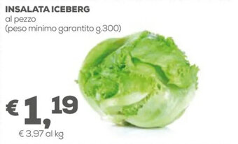 Pan Insalata Iceberg g. 300 offerta