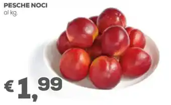 Pan Pesche Noci offerta