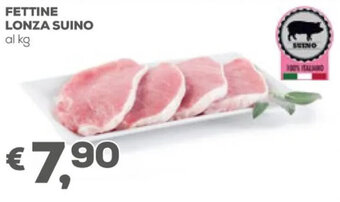 Pan Fettine Lonza Suino offerta