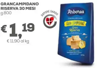 Arborea Gran Campidano Riserva 30 Mesi g.800