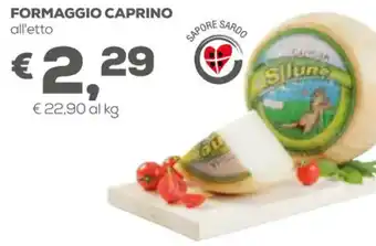 Pan Caprino Formaggio offerta