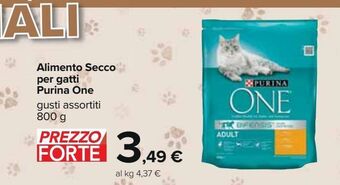 Carrefour Iper Alimento secco per gatti purina one offerta