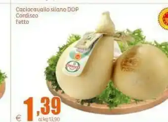 Elite Cordisco Formaggio offerta