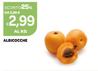 Albicocche
