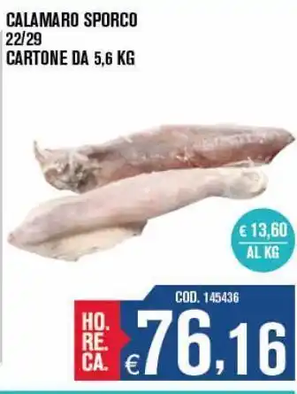 Adhoc Calamaro sporco 22/29 offerta