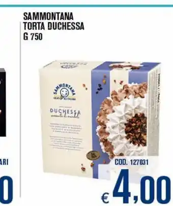 Adhoc Sammontana torta duchessa g 750 offerta