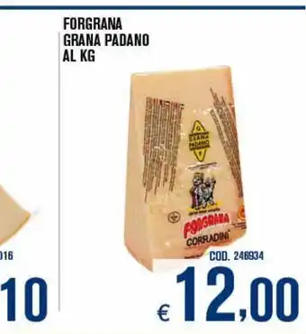 Adhoc Forgana grana padano al kg offerta