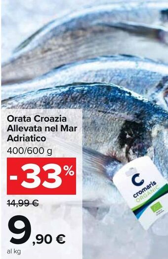 Carrefour Market Orata croacia allevata nel mar adriatico offerta