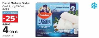 Carrefour Market Fiori di merluzzo findus offerta