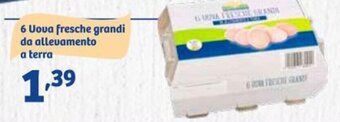 In'S Mercato 6 Uova fresche grandi da allevamento a terra offerta
