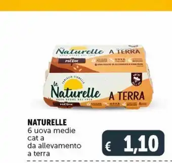 Deco Superstore 6 uova medie naturelle offerta