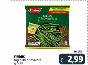 Deco Superstore Fagiolini primavera findus g 600 offerta