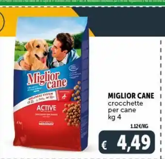 Deco Superstore Crocchette per cani miglior cane kg 4 offerta