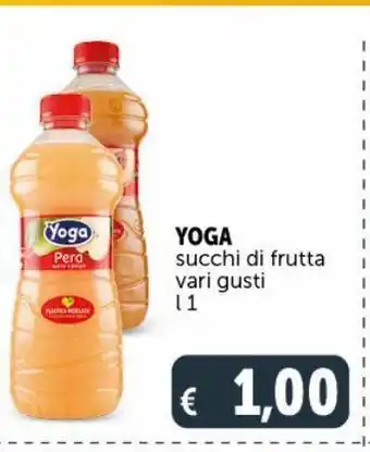 Deco Supermercati Succhi di frutta vari gusti yoga offerta
