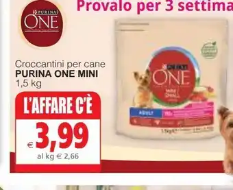 Il Gigante Croccantini per cane purina one mini offerta