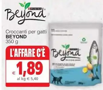 Il Gigante Croccanti per gatti beyond offerta