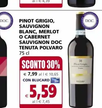 Il Gigante Pinot grigio, sauvignon blanc, merlot o cabernet sauvignon doc tenuta polvaro offerta