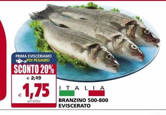 Il Gigante Branzino 500- 800 eviscerato offerta