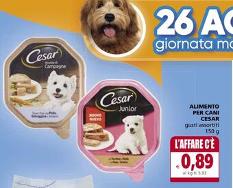 Il Gigante Alimento per cani cesar offerta