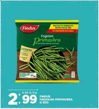 Deco Superfreddo Fagiolini primavera findus g 600 offerta