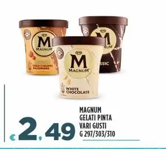 Deco Superfreddo Magnum gelati pinta vari gusti offerta