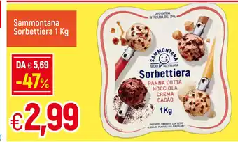 Galassia Sammontana Sorbettiera Panna Cotta Nocciola Crema Cacao 1 kg offerta