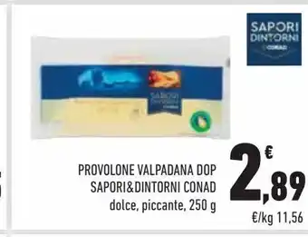 Conad City Provolone valpadana dop sapori & dintorni conad solce, piccante, 250g offerta