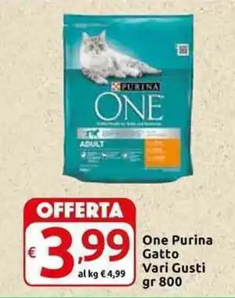 Carrefour Express Purina One Gatto Vari Gusti gr 800 offerta