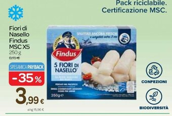 Carrefour Express Findus Fiori di Nasello MSC X5 250 g offerta