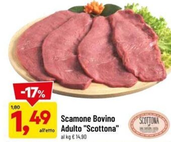 DPiù Scamone Bovino Adulto "Scottona" offerta