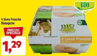 Bioricchi 4 Uova Fresche Biologiche
