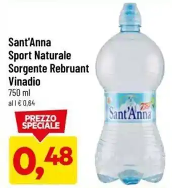 DPiù Sant'Anna Sport Naturale Sorgente Rebruant Vinadio 750 ml offerta