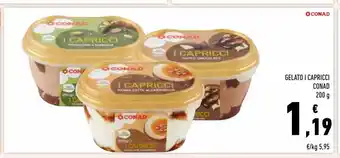 Conad Superstore Gelato i capricci conad offerta