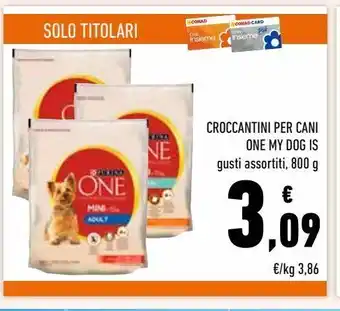 Conad Superstore Croccantini per cani one my dog is offerta
