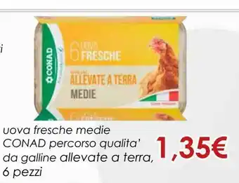 Conad Superstore Uova fresche medie conad percorso qualità offerta