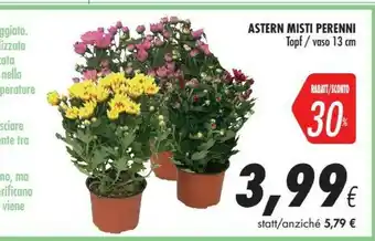 Coop Astern Misti Perenni Vaso offerta