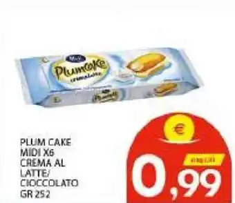 Vivo Supermercati Midi Plum Cake X6 Crema Al Latte/Cioccolato gr 252 offerta