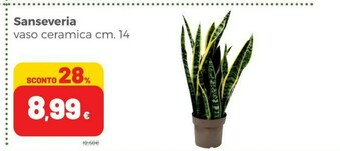 Coop Piante offerta