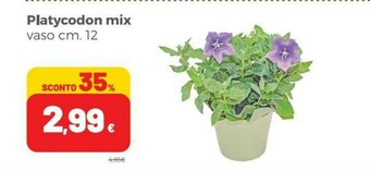 Coop Piante offerta
