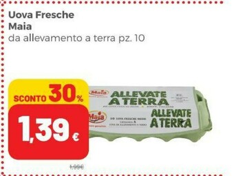 Coop Maia Uova offerta