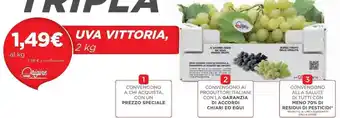 Coop Uva Vittoria 2 kg offerta