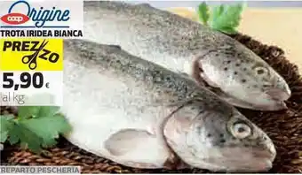 Coop Trota Iridea Bianca offerta