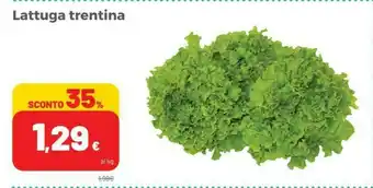 Coop Lattuga offerta